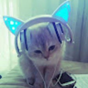 Meet your Posher, Isaac